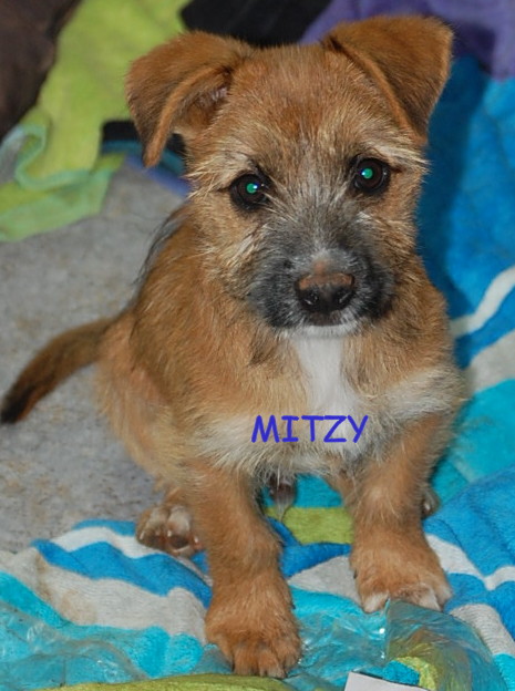 MITZY